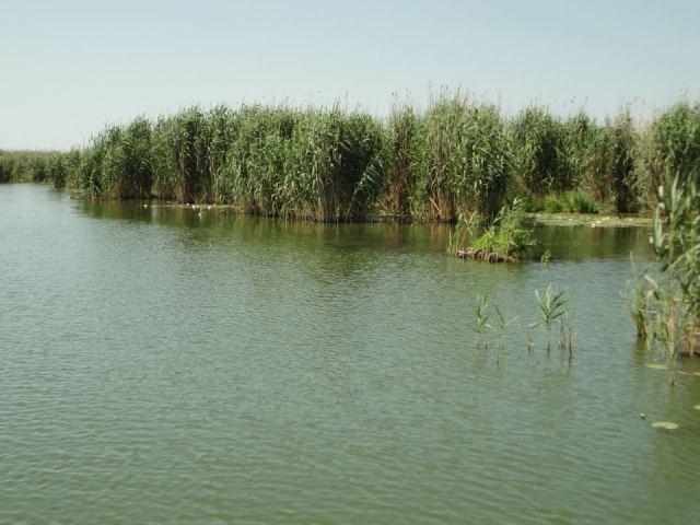 Delta forever - 317.jpg